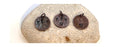 Penny Cross Charms Only – Christian Easter Gift, Religious Keychain 3 Stamping Choices - Aged Patina or Bright Polished - FREE GIFT BOX